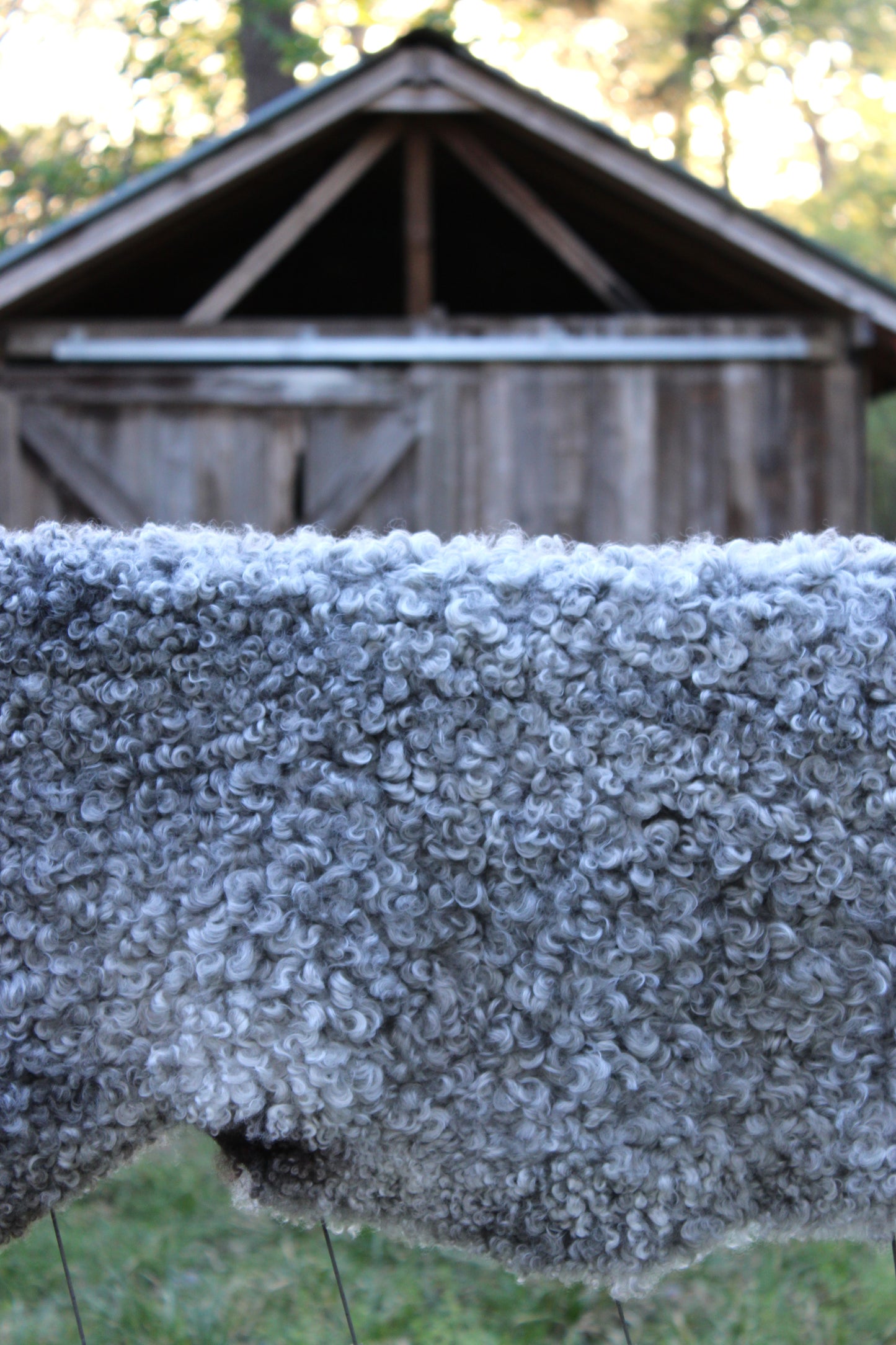 Gotland Shearling - Grey