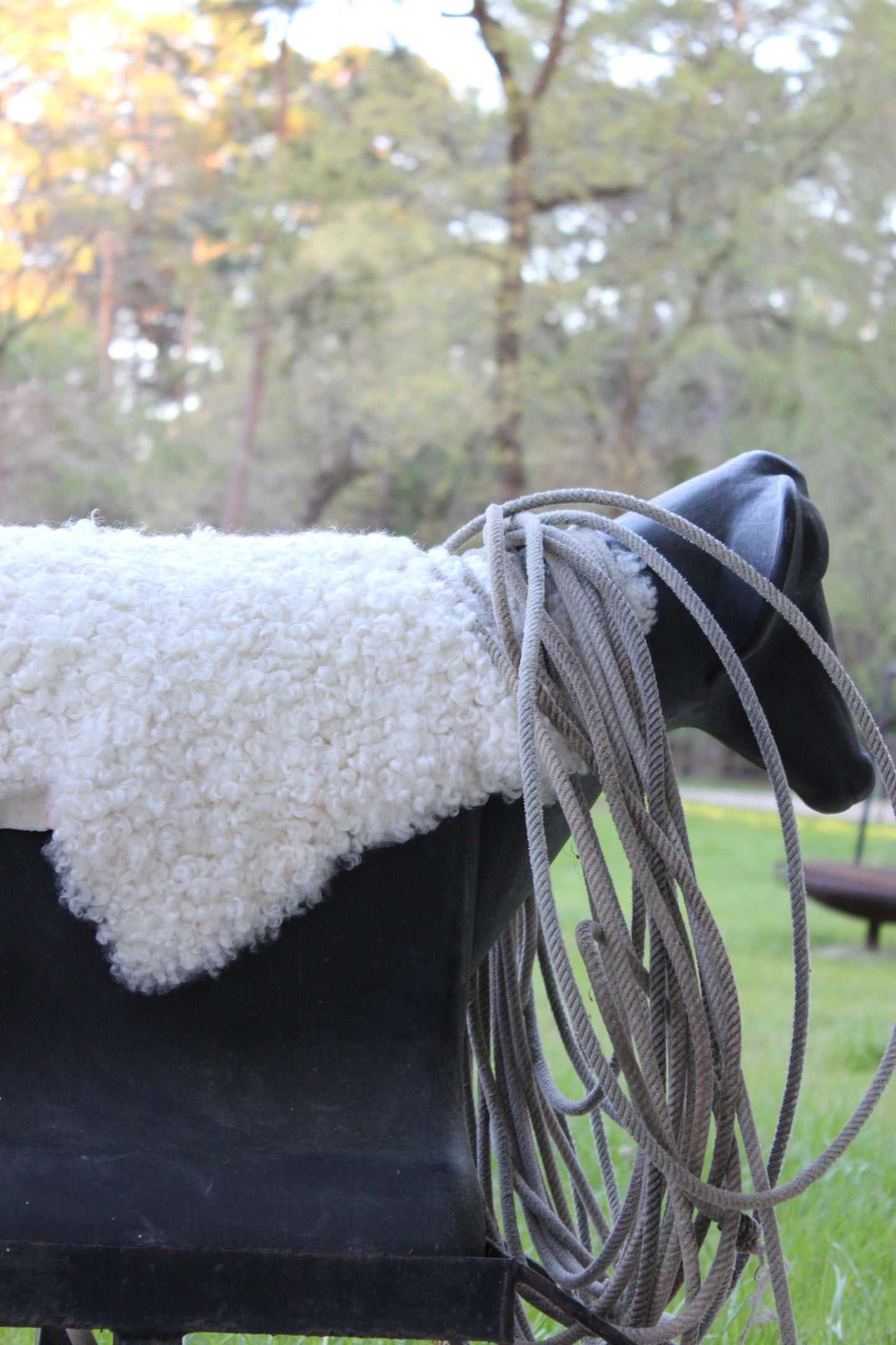 Gotland Shearling
