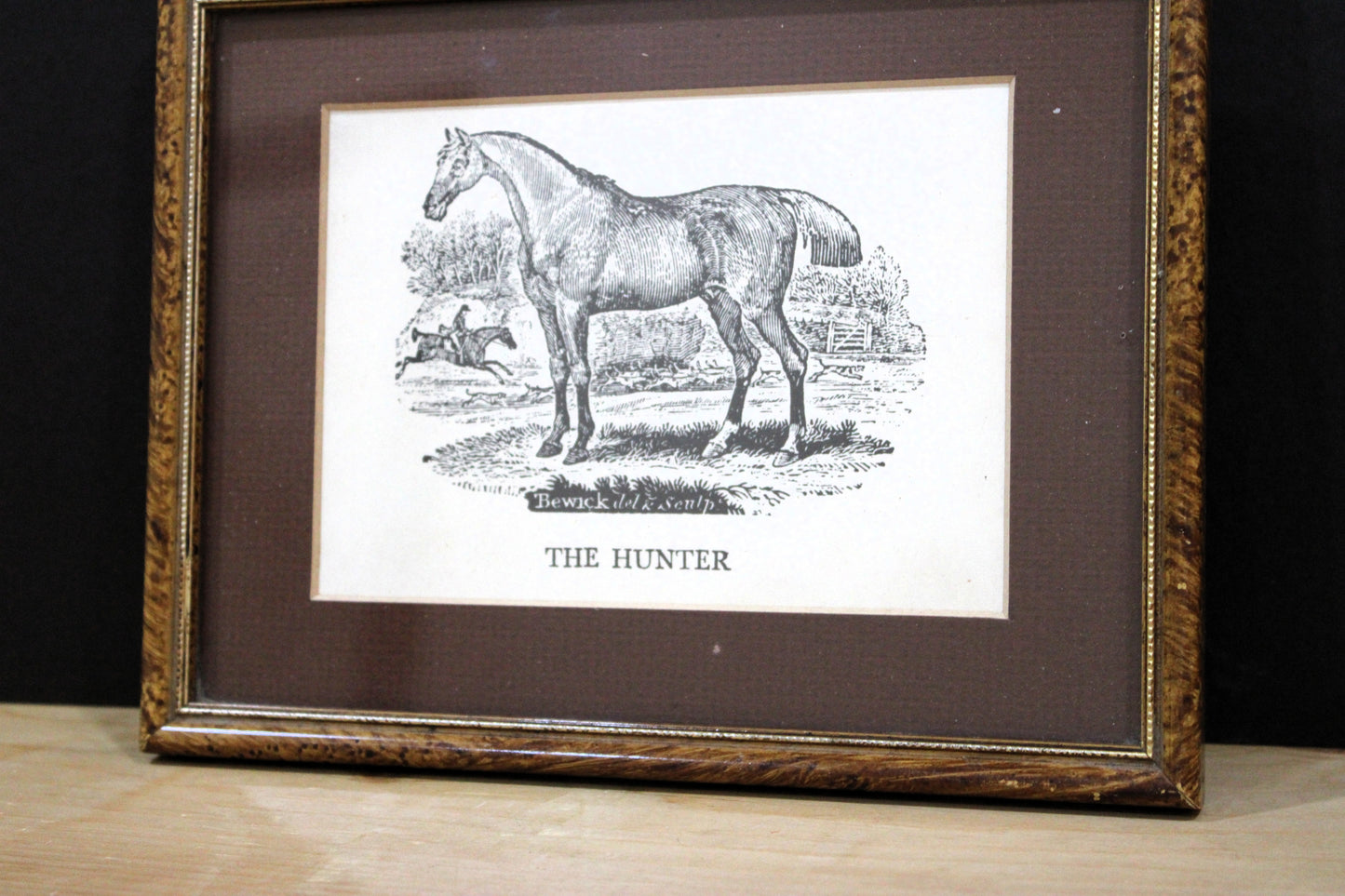 Pair of Antique Thomas Bewick Wood Engravings - The Hunter & Old English Road-Horse, Framed