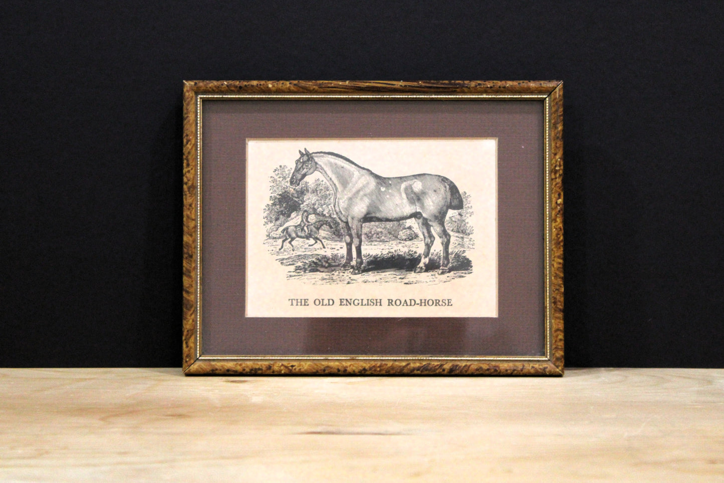 Pair of Antique Thomas Bewick Wood Engravings - The Hunter & Old English Road-Horse, Framed