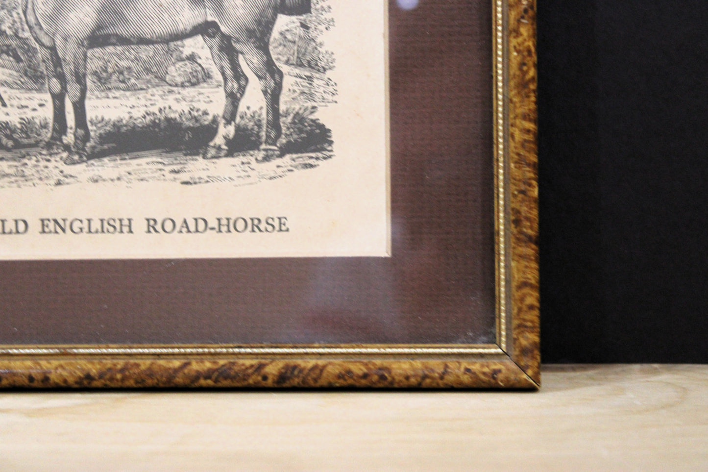 Pair of Antique Thomas Bewick Wood Engravings - The Hunter & Old English Road-Horse, Framed